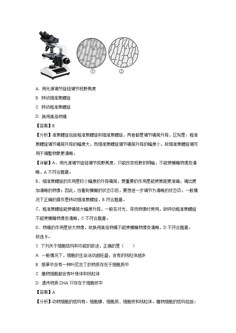 山东省临沂市河东区2024-2025学年七年级(上)期末生物试卷（解析版）第2页