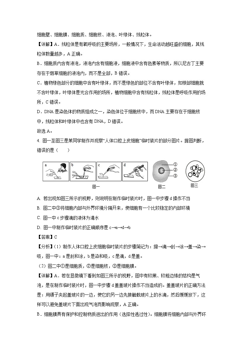 山东省临沂市河东区2024-2025学年七年级(上)期末生物试卷（解析版）第3页