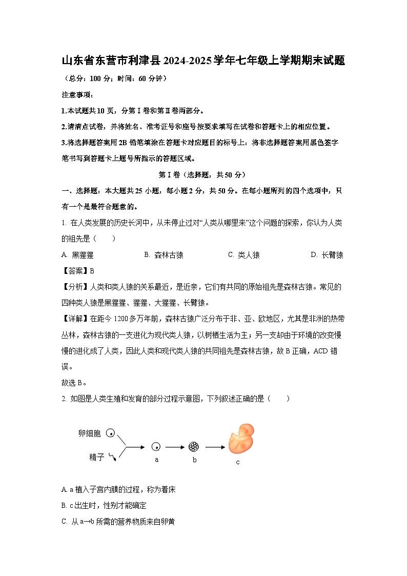 山东省东营市利津县2024-2025学年七年级(上)期末生物试卷（解析版）第1页