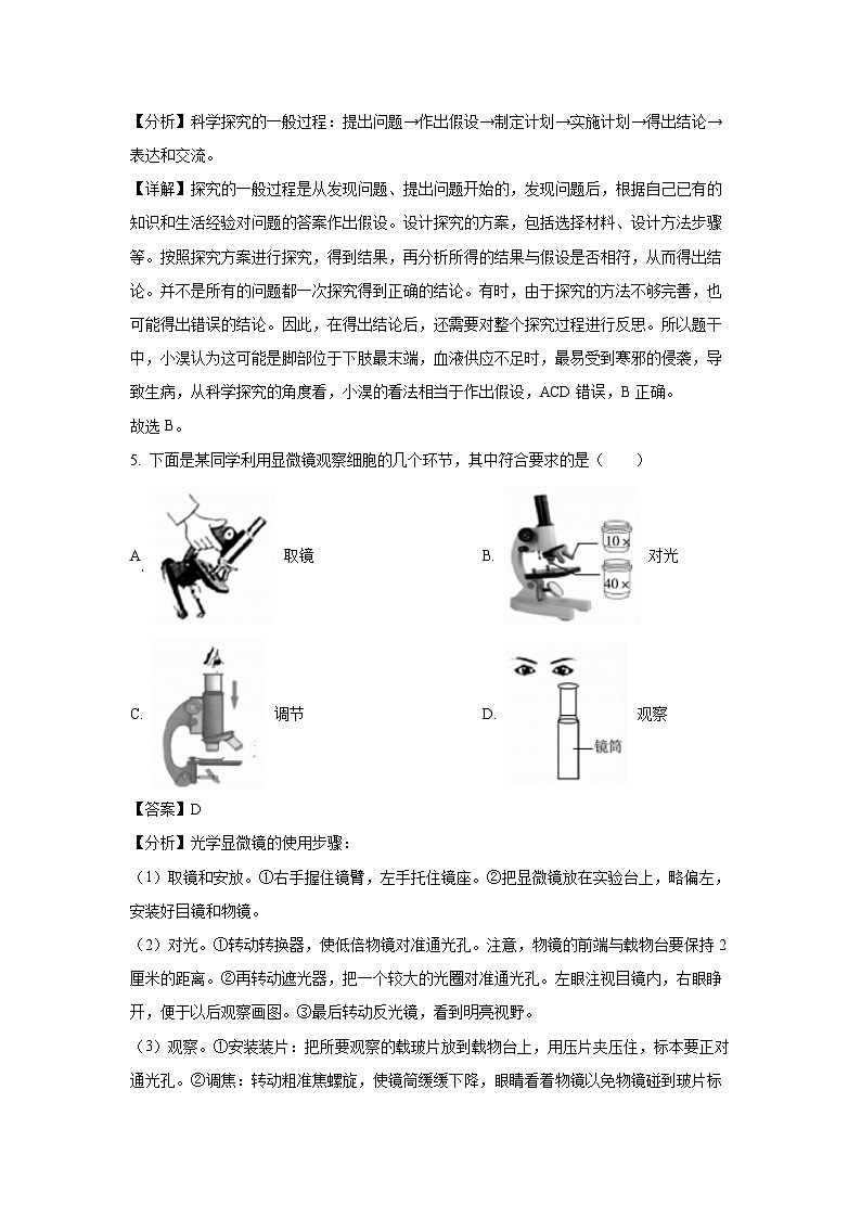 山东省德州天衢新区2024--2025学年七年级(上)期末生物试卷（解析版）第3页