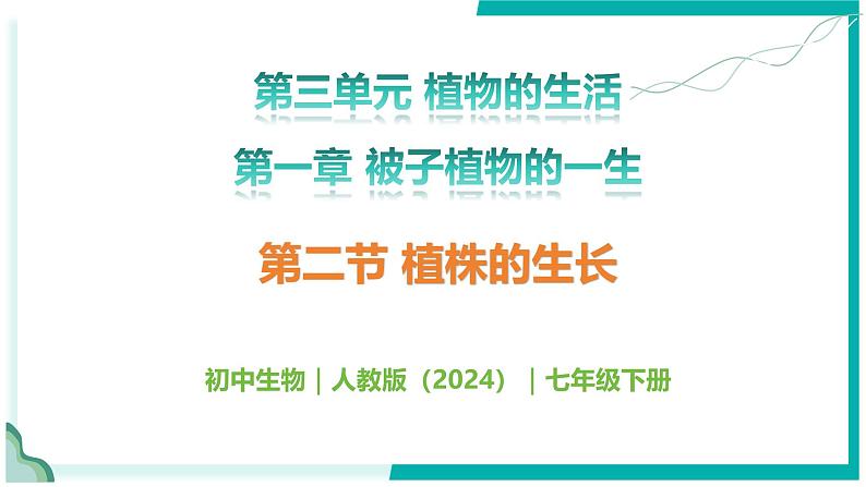 3.1.2 植株的生长 - 初中生物七年级下册 同步教学课件（人教版2024）第1页