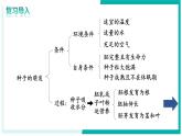 3.1.2 植株的生長(zhǎng) - 初中生物七年級(jí)下冊(cè) 同步教學(xué)課件+教學(xué)設(shè)計(jì)（人教版2024）