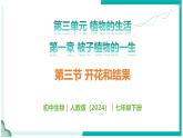 3.1.3 開花和結(jié)果 - 初中生物七年級下冊 同步教學(xué)課件+教學(xué)設(shè)計（人教版2024）