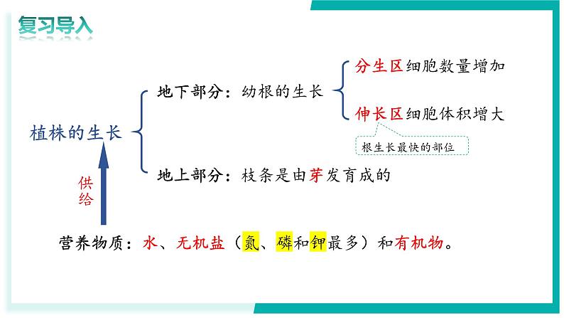 3.1.3 开花和结果 - 初中生物七年级下册 同步教学课件（人教版2024）第2页