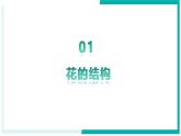 3.1.3 開花和結(jié)果 - 初中生物七年級下冊 同步教學(xué)課件+教學(xué)設(shè)計（人教版2024）