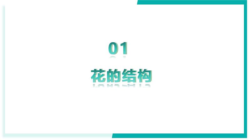 3.1.3 开花和结果 - 初中生物七年级下册 同步教学课件（人教版2024）第4页