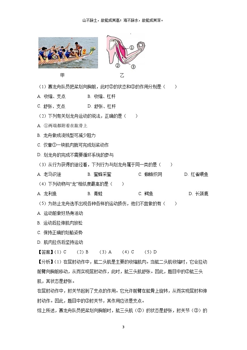 山西省忻州市2024-2025学年八年级(上)期末生物试卷（解析版）第3页