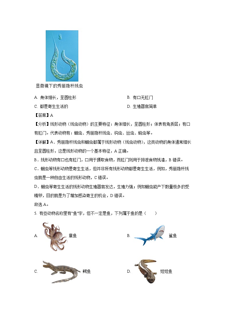 山西省太原市2024-2025学年八年级(上)期末生物试卷（解析版）第3页