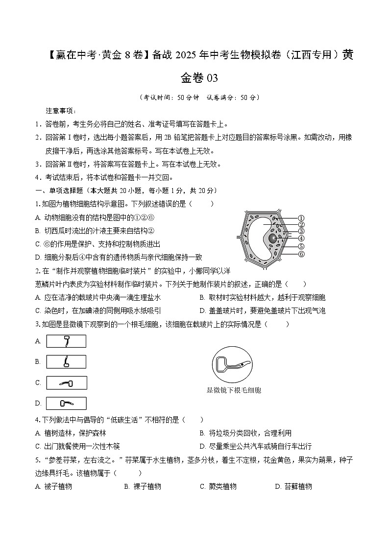黄金卷03（江西专用）（考试版）第1页