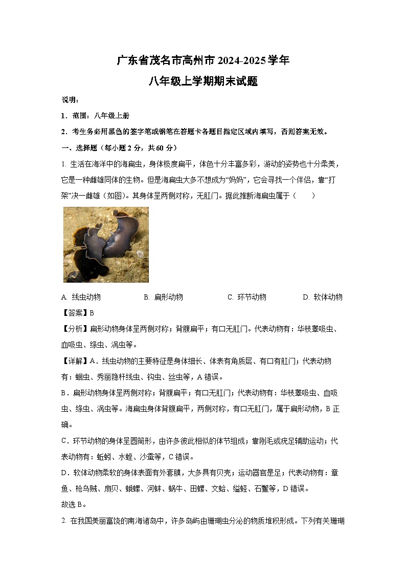 广东省茂名市高州市2024-2025学年八年级(上)期末生物试卷（解析版）第1页