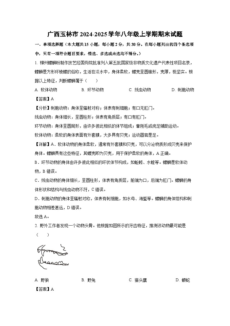 广西玉林市2024-2025学年八年级(上)期末生物试卷（解析版）第1页