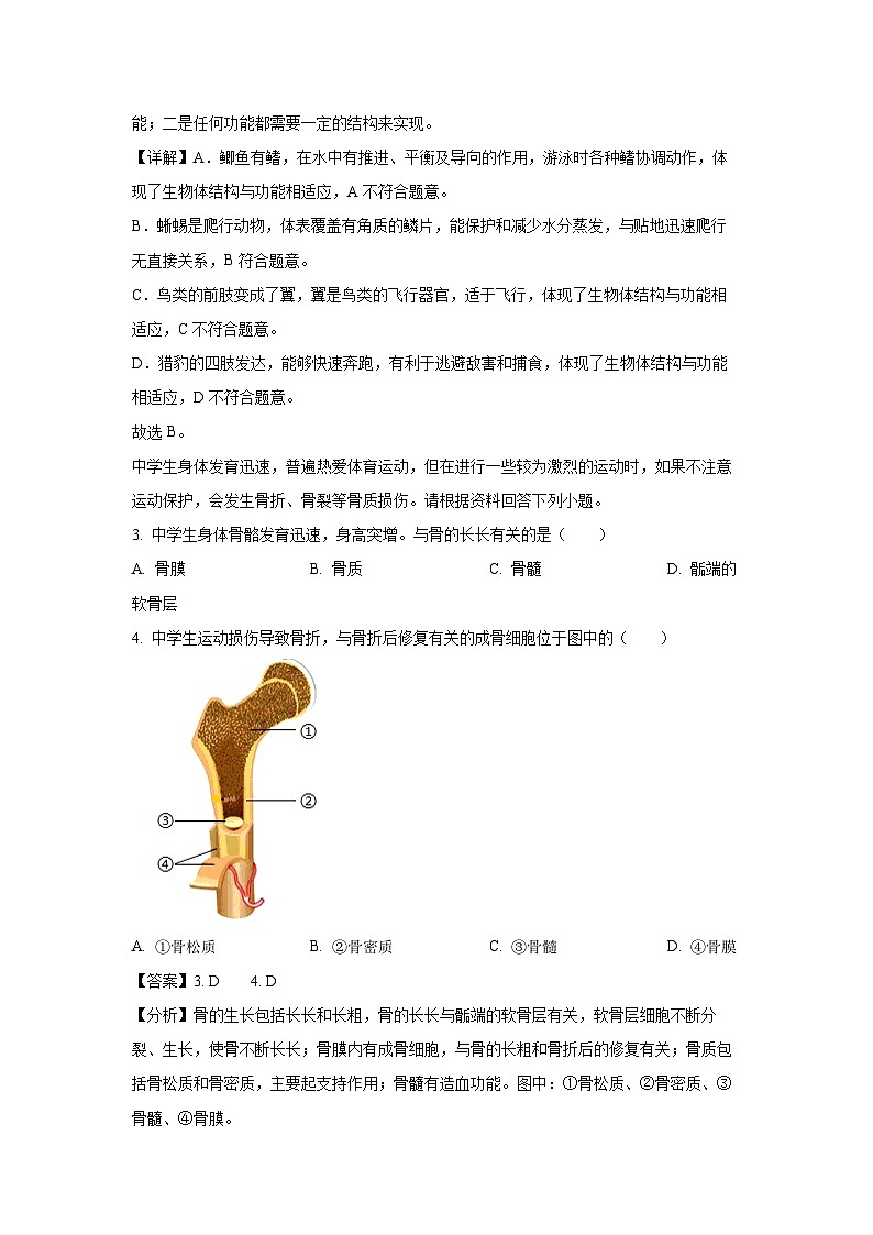 广东省珠海市金湾区2024-2025学年八年级(上)期末生物试卷（解析版）第2页