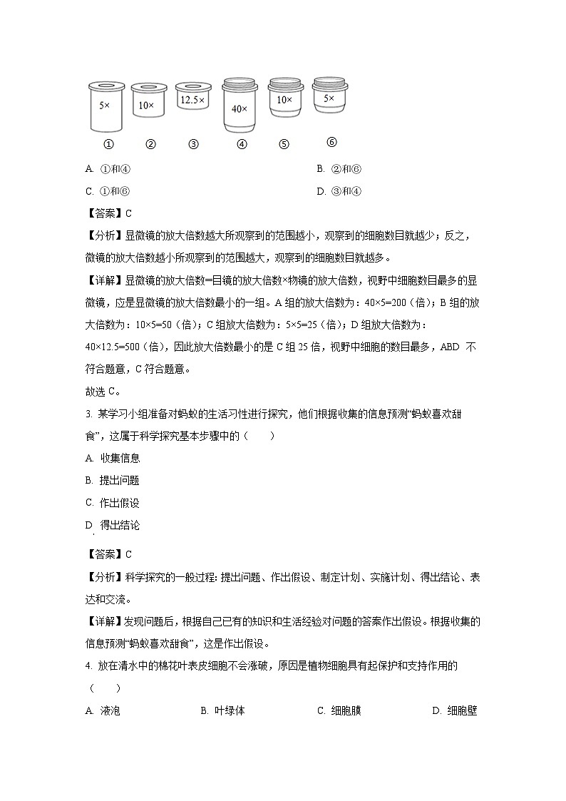 河南省洛阳市汝阳县2024-2025学年七年级上学期期末生物生物试卷（解析版）第2页