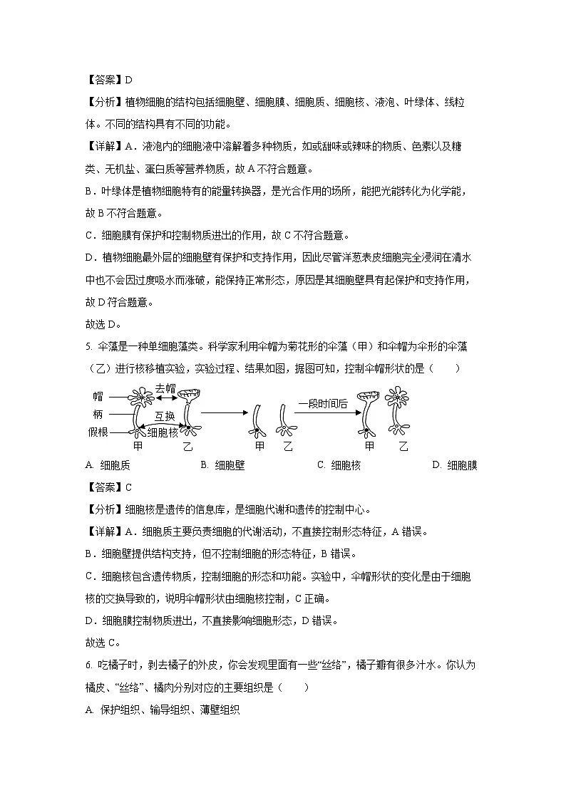 河南省洛阳市汝阳县2024-2025学年七年级上学期期末生物生物试卷（解析版）第3页