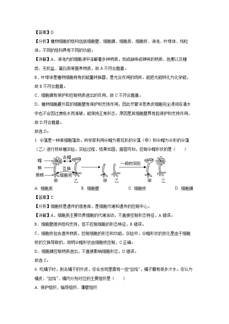 河南省洛阳市汝阳县2024-2025学年七年级上学期期末生物生物试卷（解析版）第3页