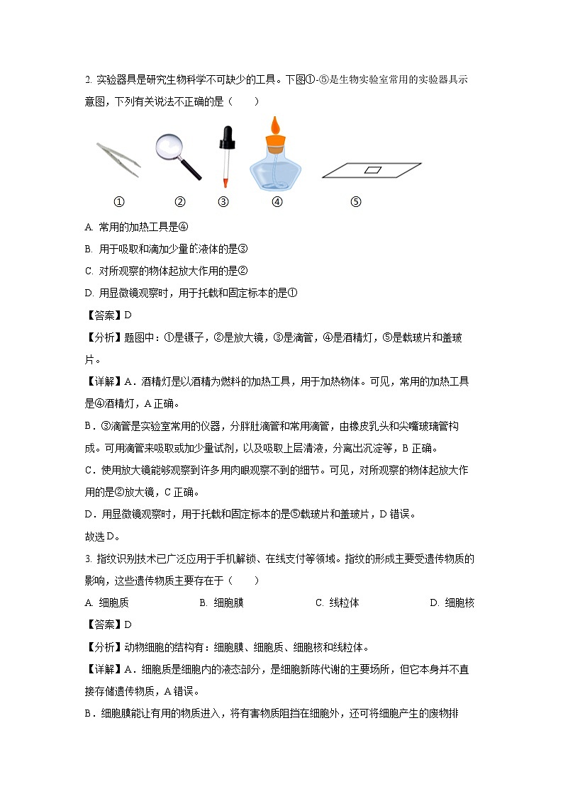 河南省洛阳市嵩县2024-2025学年七年级(上)期末生物试卷（解析版）第2页