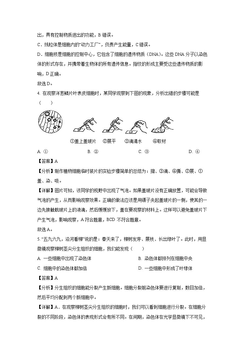 河南省洛阳市嵩县2024-2025学年七年级(上)期末生物试卷（解析版）第3页