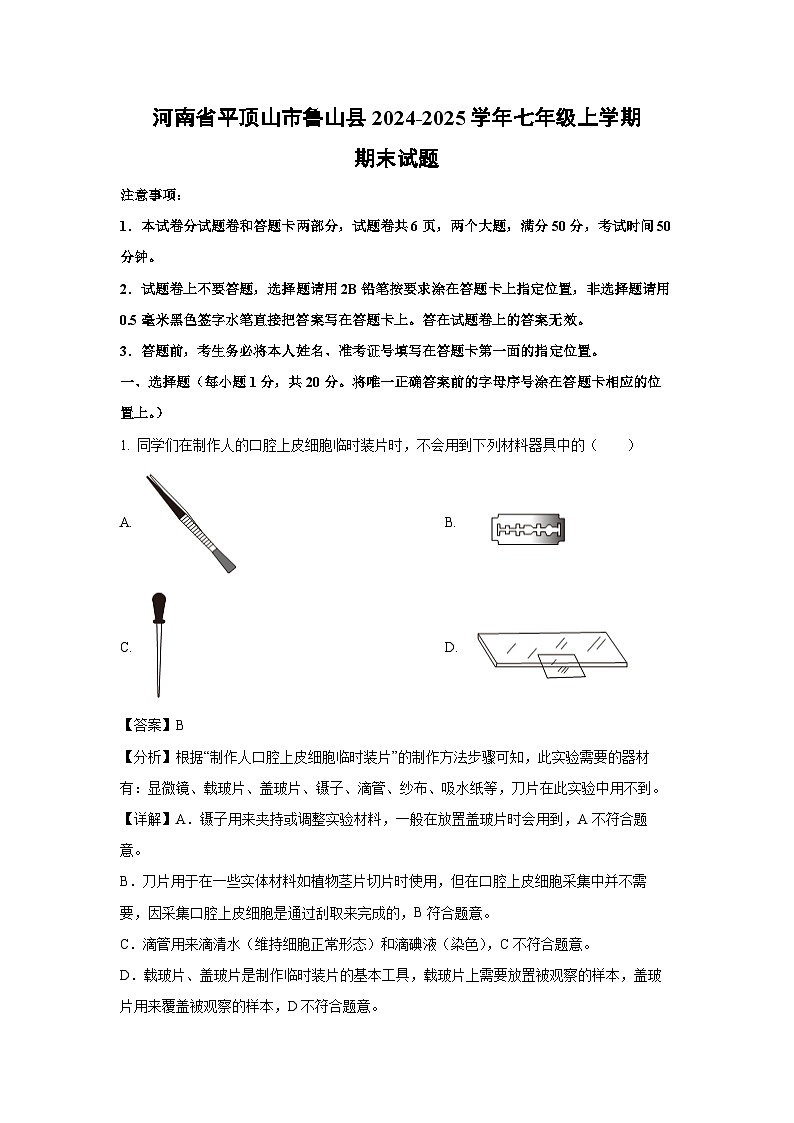 河南省平顶山市鲁山县2024-2025学年七年级(上)期末生物试卷（解析版）第1页