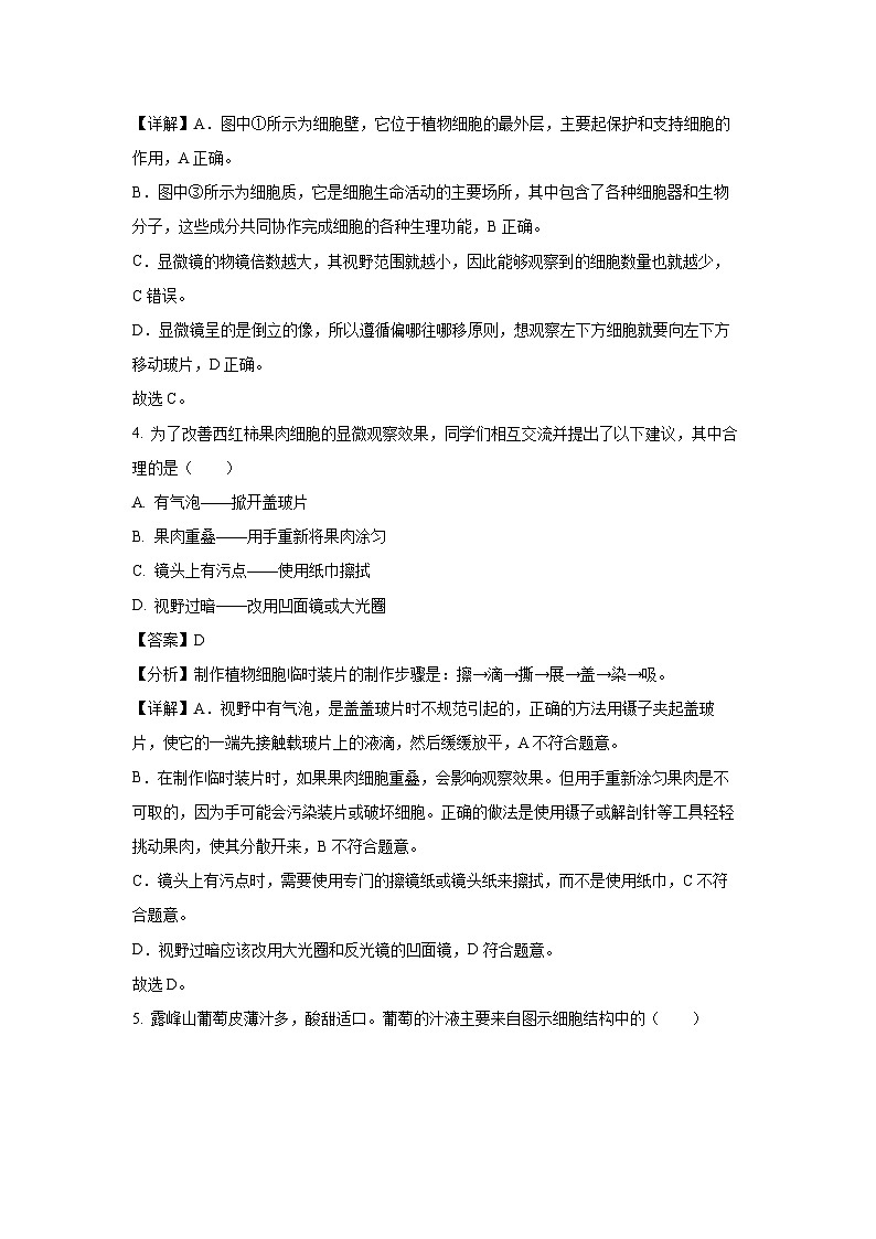 河南省平顶山市鲁山县2024-2025学年七年级(上)期末生物试卷（解析版）第3页