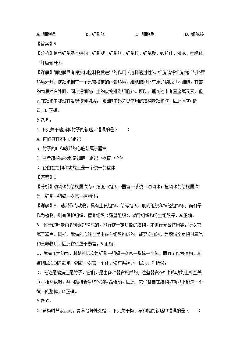 河南省商丘市民权县2024-2025学年七年级(上)期末生物试卷（解析版）第3页