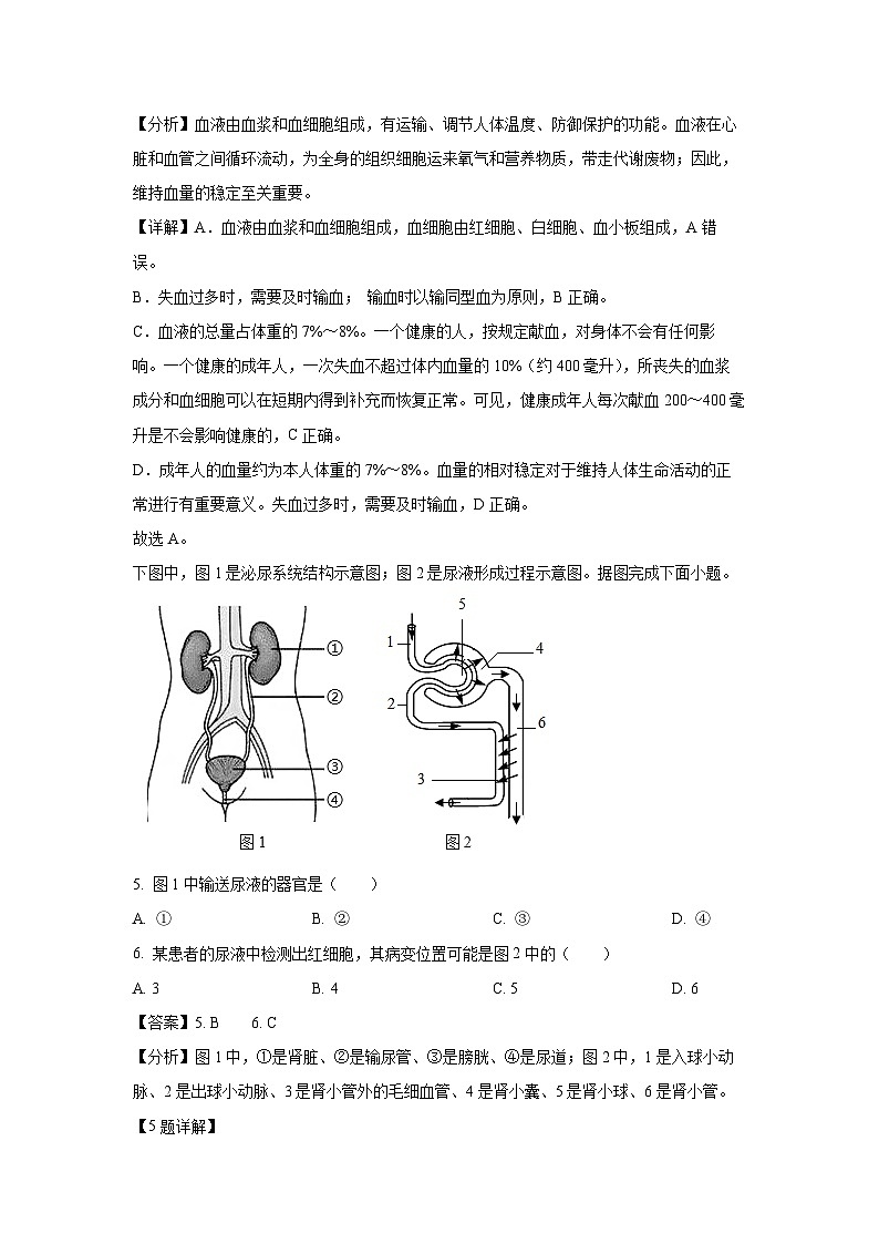 江苏省淮安市2024-2025学年八年级(上)期末生物试卷（解析版）第3页