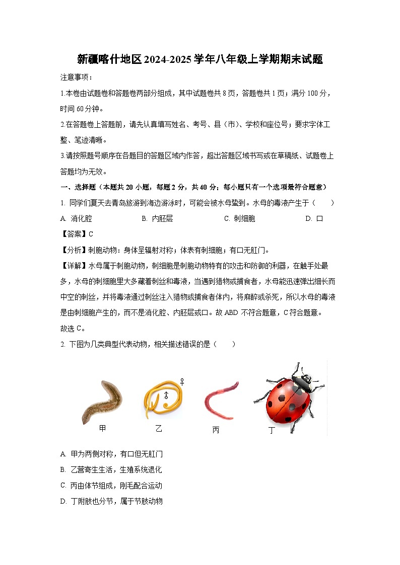 新疆喀什地区2024-2025学年八年级(上)期末生物试卷（解析版）第1页