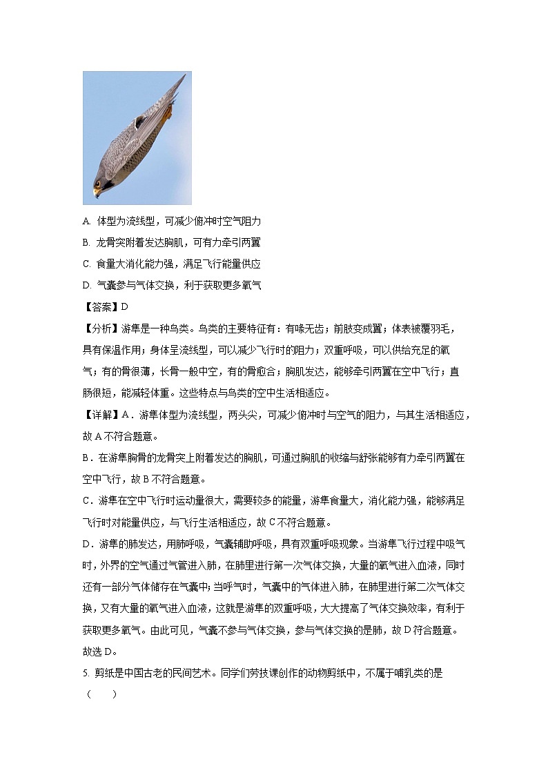 新疆喀什地区2024-2025学年八年级(上)期末生物试卷（解析版）第3页