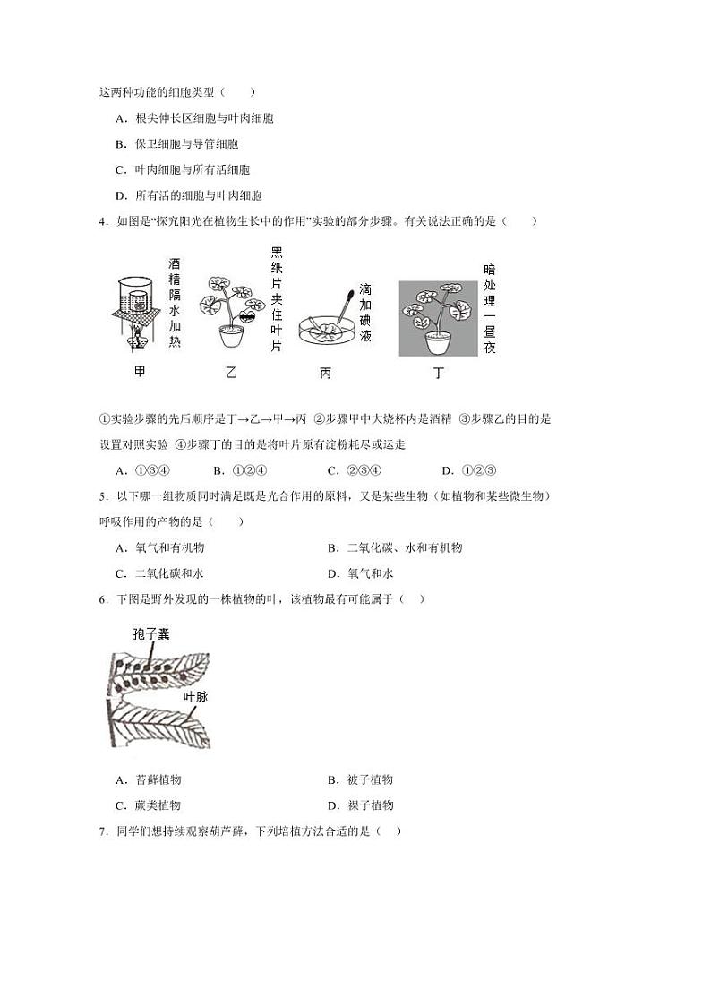 2024～2025学年广东省茂名市电白区第三中学七年级下开学摸底考试生物试卷(含答案)第2页
