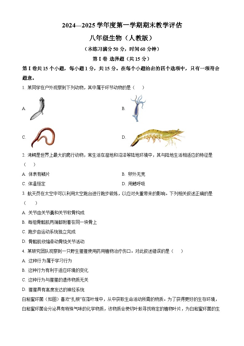 山西省忻州市原平市部分学校2024-2025学年八年级上学期期末生物试题（原卷版）第1页