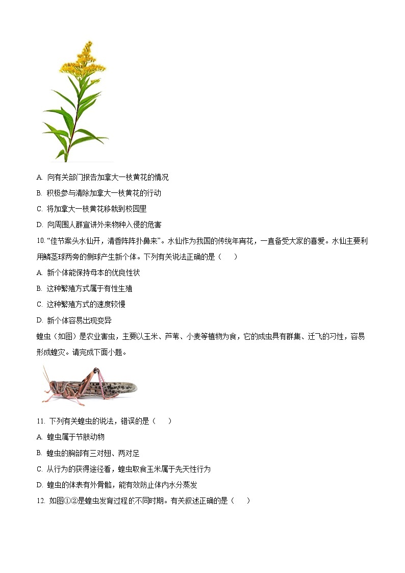 山西省忻州市原平市部分学校2024-2025学年八年级上学期期末生物试题（原卷版）第3页