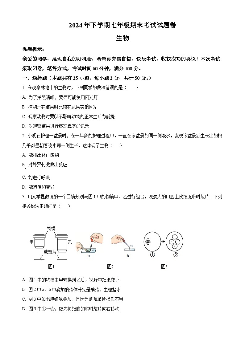湖南省娄底市冷水江市2024-2025学年七年级上学期期末生物试题（原卷版）第1页