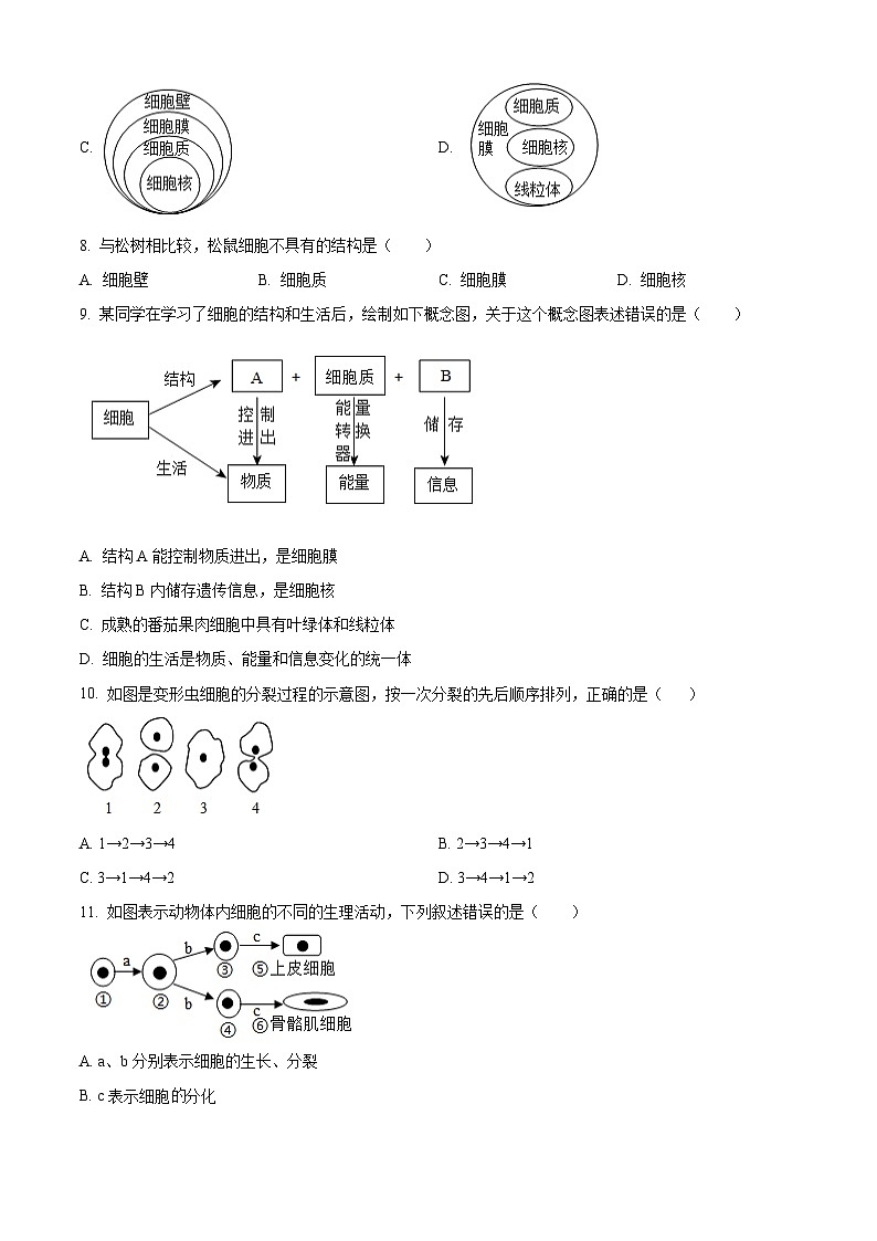 湖南省娄底市冷水江市2024-2025学年七年级上学期期末生物试题（原卷版）第3页
