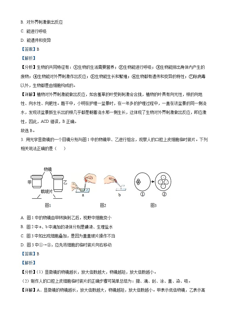 湖南省娄底市冷水江市2024-2025学年七年级上学期期末生物试题（解析版）第2页
