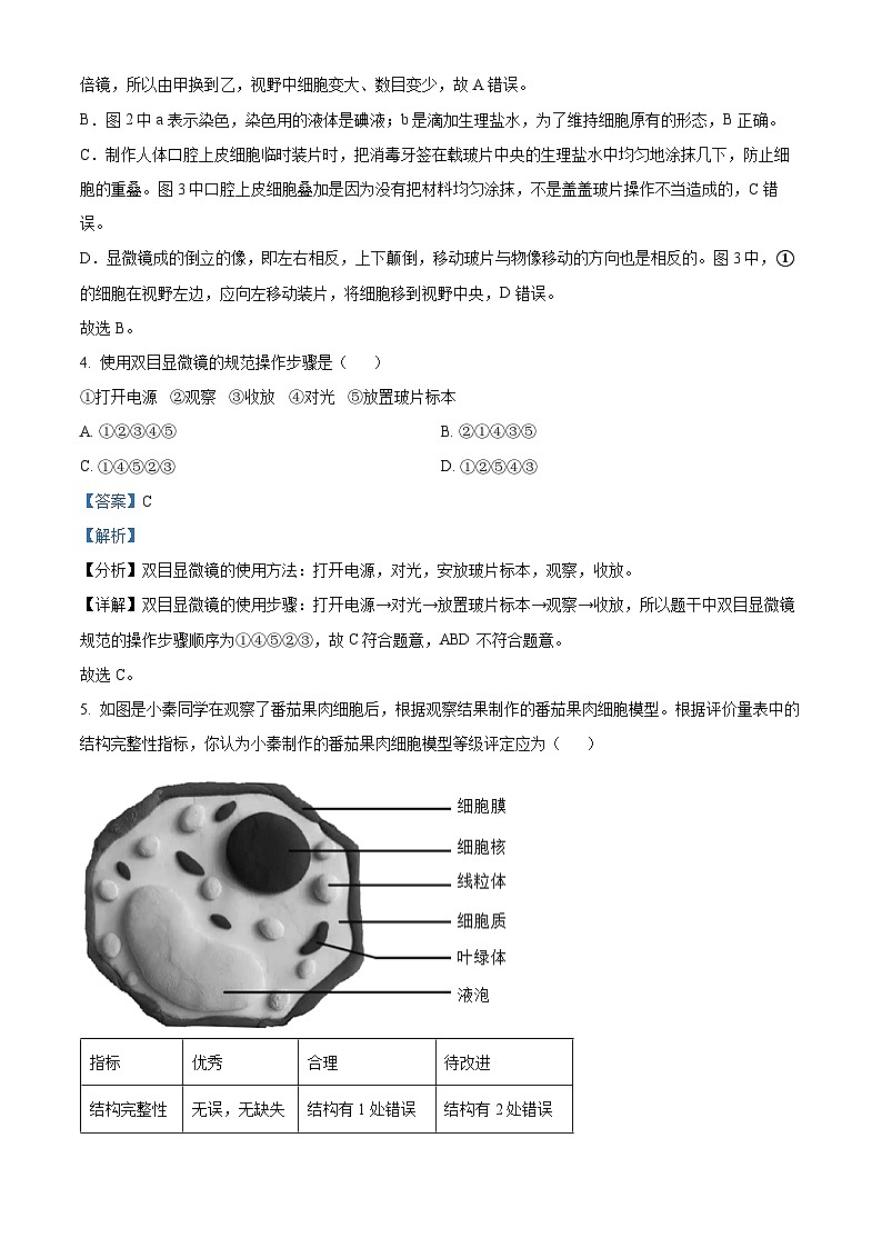 湖南省娄底市冷水江市2024-2025学年七年级上学期期末生物试题（解析版）第3页