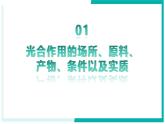 3.2.2 光合作用 - 初中生物七年級下冊 同步教學(xué)課件+教學(xué)設(shè)計（人教版2024）