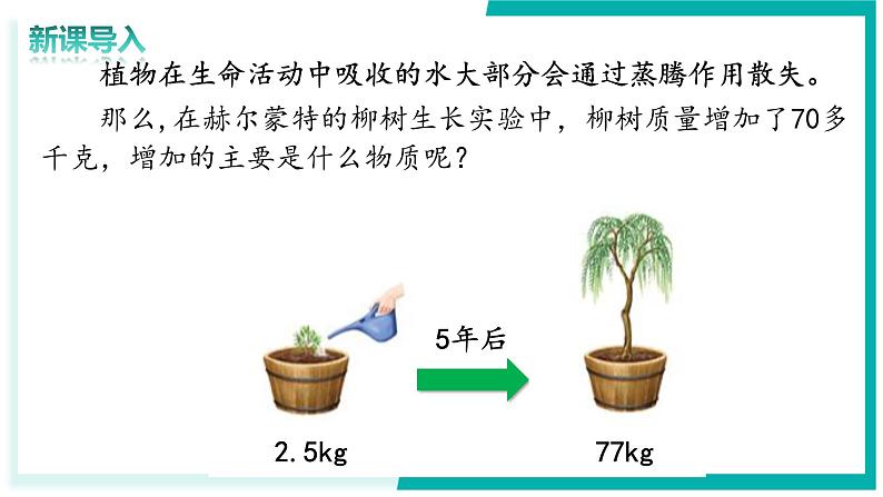 3.2.2 光合作用 - 初中生物七年级下册 同步教学课件（人教版2024）第3页