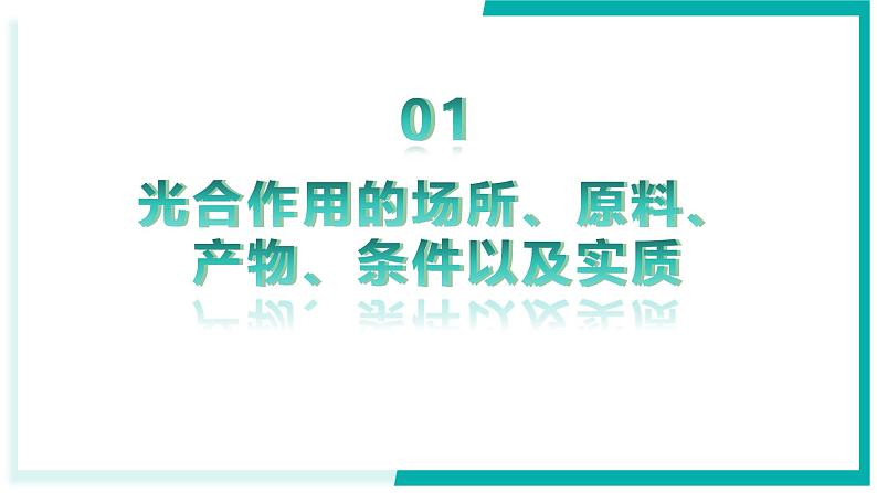 3.2.2 光合作用 - 初中生物七年级下册 同步教学课件（人教版2024）第4页