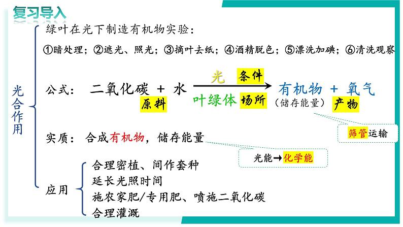 3.2.3 呼吸作用 - 初中生物七年级下册 同步教学课件（人教版2024）第2页