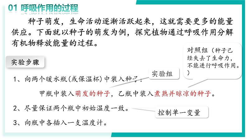 3.2.3 呼吸作用 - 初中生物七年级下册 同步教学课件（人教版2024）第5页