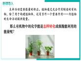 3.2.3 呼吸作用 - 初中生物七年級下冊 同步教學(xué)課件+教學(xué)設(shè)計（人教版2024）