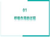 3.2.3 呼吸作用 - 初中生物七年級下冊 同步教學(xué)課件+教學(xué)設(shè)計（人教版2024）