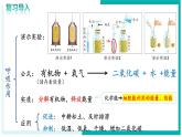 3.2.4 植物在自然界中的作用 - 初中生物七年級下冊 同步教學(xué)課件+教學(xué)設(shè)計(jì)（人教版2024）