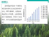 3.2.4 植物在自然界中的作用 - 初中生物七年級下冊 同步教學(xué)課件+教學(xué)設(shè)計(jì)（人教版2024）