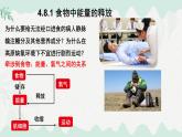 4.8.1食物中能量的释放（课件）-2024-2025学年七年级生物下册（北师大版2024）