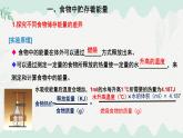 4.8.1食物中能量的释放（课件）-2024-2025学年七年级生物下册（北师大版2024）