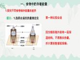 4.8.1食物中能量的释放（课件）-2024-2025学年七年级生物下册（北师大版2024）