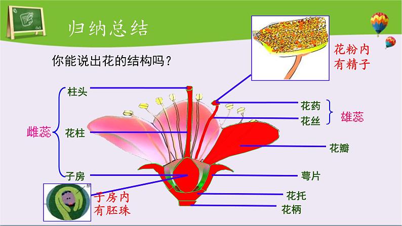 第三节 开花和结果 课件第5页