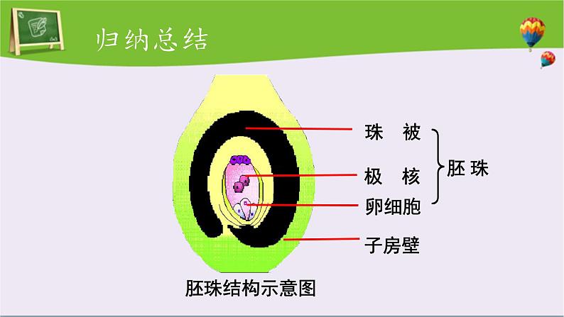 第三节 开花和结果 课件第6页