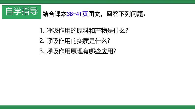 第三节 呼吸作用 课件第3页