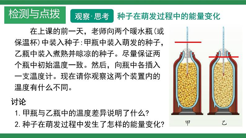 第三节 呼吸作用 课件第4页